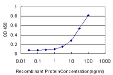 NKIRAS2 Antibody - Detection limit for recombinant GST tagged NKIRAS2 is approximately 1 ng/ml as a capture antibody.