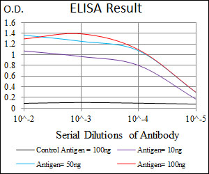 NKX2-2 Antibody - Red: Control Antigen (100ng); Purple: Antigen (10ng); Green: Antigen (50ng); Blue: Antigen (100ng);