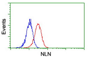 NLN / Neurolysin Antibody - Flow cytometry of Jurkat cells, using anti-NLN antibody (Red), compared to a nonspecific negative control antibody (Blue).