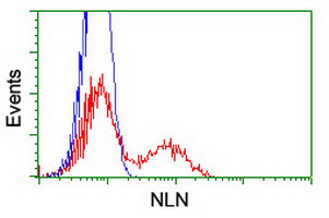 NLN / Neurolysin Antibody - HEK293T cells transfected with either overexpress plasmid (Red) or empty vector control plasmid (Blue) were immunostained by anti-NLN antibody, and then analyzed by flow cytometry.
