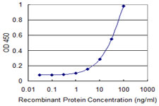 NME3 Antibody - Detection limit for recombinant GST tagged NME3 is 0.3 ng/ml as a capture antibody.