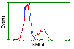 NME4 Antibody - HEK293T cells transfected with either pCMV6-ENTRY NME4 (Red) or empty vector control plasmid (Blue) were immunostained with anti-NME4 mouse monoclonal, and then analyzed by flow cytometry.