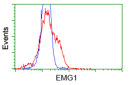 NME4 Antibody - HEK293T cells transfected with either overexpress plasmid (Red) or empty vector control plasmid (Blue) were immunostained by anti-NME4 antibody, and then analyzed by flow cytometry.
