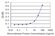 NME6 Antibody - Detection limit for recombinant GST tagged NME6 is 1 ng/ml as a capture antibody.
