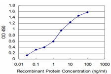 NMI Antibody - Detection limit for recombinant GST tagged NMI is approximately 0.1 ng/ml as a capture antibody.