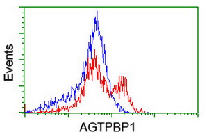 NNA1 / AGTPBP1 Antibody - HEK293T cells transfected with either overexpress plasmid (Red) or empty vector control plasmid (Blue) were immunostained by anti-AGTPBP1 antibody, and then analyzed by flow cytometry.