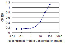 NNAT / Neuronatin Antibody - Detection limit for recombinant GST tagged NNAT is 0.3 ng/ml as a capture antibody.