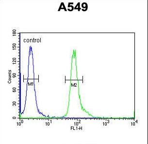 NOL4L Antibody - CT112 Antibody flow cytometry of A549 cells (right histogram) compared to a negative control cell (left histogram). FITC-conjugated goat-anti-rabbit secondary antibodies were used for the analysis.