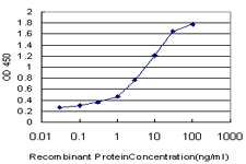 NOLC1 Antibody - Detection limit for recombinant GST tagged NOLC1 is approximately 0.03 ng/ml as a capture antibody.