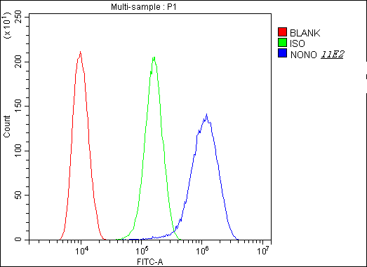 NONO / P54NRB Antibody - Flow Cytometry analysis of U20S cells using anti-nmt55 p54nrb antibody. Overlay histogram showing U20S cells stained with anti-nmt55 p54nrb antibody (Blue line). The cells were blocked with 10% normal goat serum. And then incubated with mouse anti-nmt55 p54nrb Antibody (1µg/10E6 cells) for 30 min at 20°C. DyLight®488 conjugated goat anti-mouse IgG (5-10µg/10E6 cells) was used as secondary antibody for 30 minutes at 20°C. Isotype control antibody (Green line) was mouse IgG (1µg/10E6 cells) used under the same conditions. Unlabelled sample (Red line) was also used as a control.