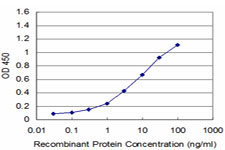 Nor-1 / NR4A3 Antibody - Detection limit for recombinant GST tagged NR4A3 is approximately 0.3 ng/ml as a capture antibody.