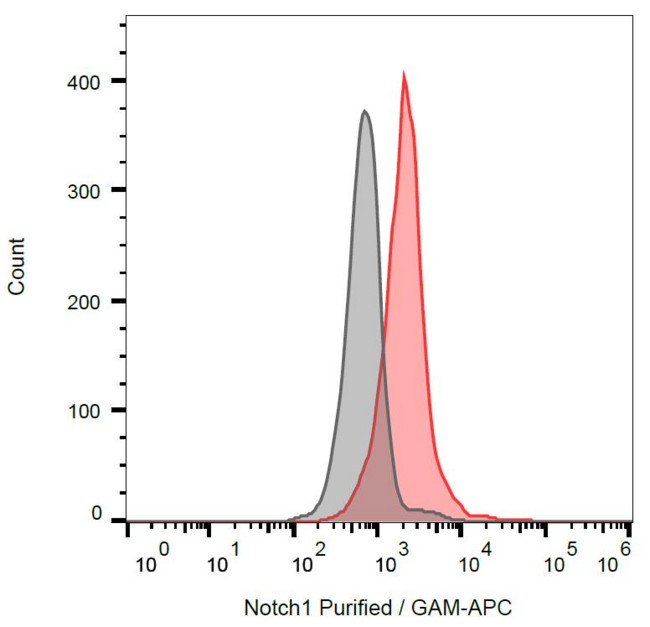 NOTCH1 Antibody - Intracellular staining of Notch1 in Jurkat cells using anti-Notch1 (mN1A) purified.