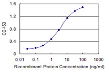 NPC2 Antibody - Detection limit for recombinant GST tagged NPC2 is 0.03 ng/ml as a capture antibody.