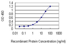 NPTX1 Antibody - Detection limit for recombinant GST tagged NPTX1 is 0.1 ng/ml as a capture antibody.