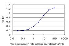 NPY1R Antibody - Detection limit for recombinant GST tagged NPY1R is approximately 0.1 ng/ml as a capture antibody.