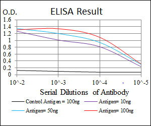 NQO1 Antibody - Red: Control Antigen (100ng); Purple: Antigen (10ng); Green: Antigen (50ng); Blue: Antigen (100ng);