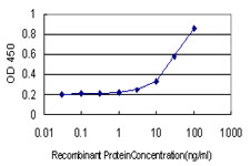 NR0B1 / DAX1 Antibody - Detection limit for recombinant GST tagged NR0B1 is approximately 1 ng/ml as a capture antibody.
