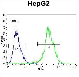 NR0B2 Antibody - NR0B2 Antibody flow cytometry of HepG2 cells (right histogram) compared to a negative control cell (left histogram). FITC-conjugated goat-anti-rabbit secondary antibodies were used for the analysis.