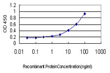NR1H2 / LXR Beta Antibody - Detection limit for recombinant GST tagged NR1H2 is approximately 0.3 ng/ml as a capture antibody.