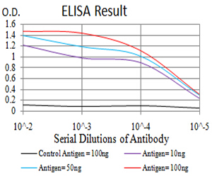 NR1I2 / PXR Antibody - Black line: Control Antigen (100 ng);Purple line: Antigen (10ng); Blue line: Antigen (50 ng); Red line:Antigen (100 ng)