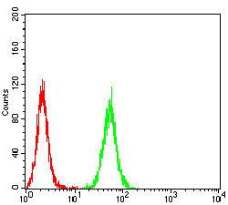 NR1I2 / PXR Antibody - Flow cytometric analysis of HepG2 cells using NR1I2 mouse mAb (green) and negative control (red).