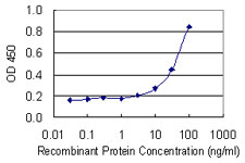 NR2F1 / Coup-TF Antibody - Detection limit for recombinant GST tagged NR2F1 is 1 ng/ml as a capture antibody.