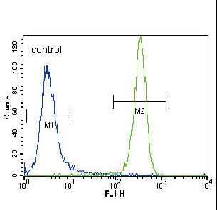 NRAS / N-ras Antibody - NRAS Antibody flow cytometry of NCI-H460 cells (right histogram) compared to a negative control cell (left histogram). FITC-conjugated goat-anti-rabbit secondary antibodies were used for the analysis.