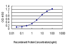 NRAS / N-ras Antibody - Detection limit for recombinant GST tagged NRAS is approximately 0.1 ng/ml as a capture antibody.