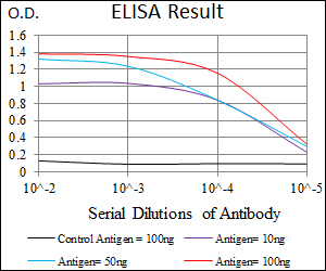NRCAM Antibody - Red: Control Antigen (100ng); Purple: Antigen (10ng); Green: Antigen (50ng); Blue: Antigen (100ng);