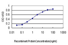 NRF1 / NRF-1 Antibody - Detection limit for recombinant GST tagged NRF1 is approximately 0.03 ng/ml as a capture antibody.