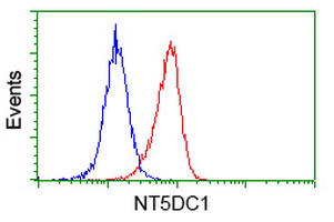 NT5DC1 Antibody - Flow cytometry of HeLa cells, using anti-NT5DC1 antibody, (Red), compared to a nonspecific negative control antibody, (Blue).