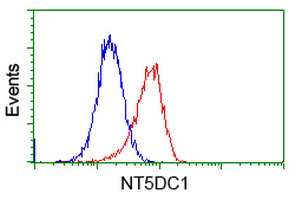 NT5DC1 Antibody - Flow cytometry of Jurkat cells, using anti-NT5DC1 antibody, (Red), compared to a nonspecific negative control antibody, (Blue).