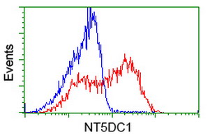 NT5DC1 Antibody - HEK293T cells transfected with either overexpress plasmid (Red) or empty vector control plasmid (Blue) were immunostained by anti-NT5DC1 antibody, and then analyzed by flow cytometry.