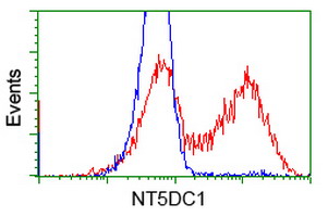 NT5DC1 Antibody - HEK293T cells transfected with either overexpress plasmid (Red) or empty vector control plasmid (Blue) were immunostained by anti-NT5DC1 antibody, and then analyzed by flow cytometry.