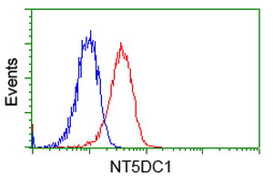 NT5DC1 Antibody - Flow cytometry of Jurkat cells, using anti-NT5DC1 antibody, (Red), compared to a nonspecific negative control antibody, (Blue).