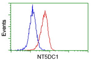 NT5DC1 Antibody - Flow cytometry of HeLa cells, using anti-NT5DC1 antibody, (Red), compared to a nonspecific negative control antibody, (Blue).