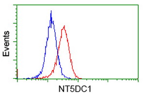NT5DC1 Antibody - Flow cytometric Analysis of Hela cells, using anti-NT5DC1 antibody, (Red), compared to a nonspecific negative control antibody, (Blue).
