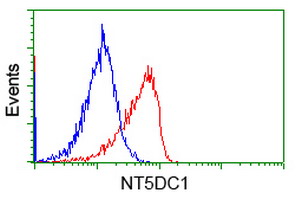 NT5DC1 Antibody - Flow cytometric Analysis of Jurkat cells, using anti-NT5DC1 antibody, (Red), compared to a nonspecific negative control antibody, (Blue).