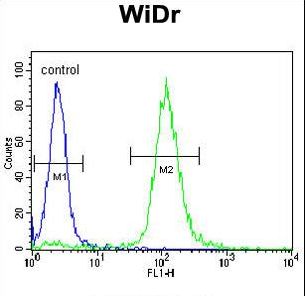 NTRK1 / TrkA Antibody - TrkA Antibody flow cytometry of WiDr cells (right histogram) compared to a negative control cell (left histogram). FITC-conjugated goat-anti-rabbit secondary antibodies were used for the analysis.
