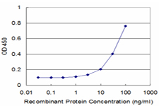 NTRK3 / TRKC Antibody - Detection limit for recombinant GST tagged NTRK3 is approximately 3 ng/ml as a capture antibody.