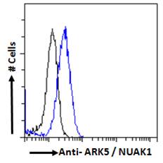 NUAK1 / ARK5 Antibody - Goat Anti-ARK5 / NUAK1 Antibody Flow cytometric analysis of paraformaldehyde fixed A431 cells (blue line), permeabilized with 0.5% Triton. Primary incubation 1hr (10ug/ml) followed by Alexa Fluor 488 secondary antibody (1ug/ml). IgG control: Unimmunized goat IgG (black line) followed by Alexa Fluor 488 secondary antibody.