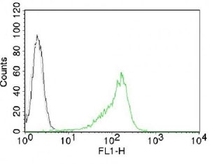Nuclear Membrane Marker NM97 Antibody - Intracellular FACS testing of 293 cells with Nucleoli marker antibody (green).  This image was taken for the unmodified form of this product. Other forms have not been tested.