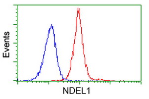 NUDEL / NDEL1 Antibody - Flow cytometry of Jurkat cells, using anti-NDEL1 antibody (Red), compared to a nonspecific negative control antibody (Blue).