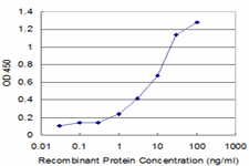 NUDT1 / MTH1 Antibody - Detection limit for recombinant GST tagged NUDT1 is approximately 1 ng/ml as a capture antibody.
