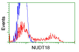 NUDT18 Antibody - HEK293T cells transfected with either overexpress plasmid (Red) or empty vector control plasmid (Blue) were immunostained by anti-NUDT18 antibody, and then analyzed by flow cytometry.