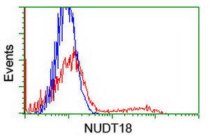 NUDT18 Antibody - HEK293T cells transfected with either overexpress plasmid (Red) or empty vector control plasmid (Blue) were immunostained by anti-NUDT18 antibody, and then analyzed by flow cytometry.