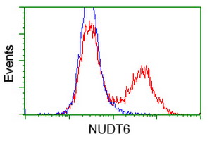 NUDT6 Antibody - HEK293T cells transfected with either overexpress plasmid (Red) or empty vector control plasmid (Blue) were immunostained by anti-NUDT6 antibody, and then analyzed by flow cytometry.
