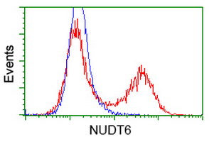NUDT6 Antibody - HEK293T cells transfected with either overexpress plasmid (Red) or empty vector control plasmid (Blue) were immunostained by anti-NUDT6 antibody, and then analyzed by flow cytometry.