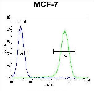 NUDT8 Antibody - NUDT8 Antibody flow cytometry of MCF-7 cells (right histogram) compared to a negative control cell (left histogram). FITC-conjugated goat-anti-rabbit secondary antibodies were used for the analysis.