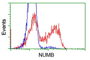 NUMB Antibody - HEK293T cells transfected with either overexpress plasmid (Red) or empty vector control plasmid (Blue) were immunostained by anti-NUMB antibody, and then analyzed by flow cytometry.